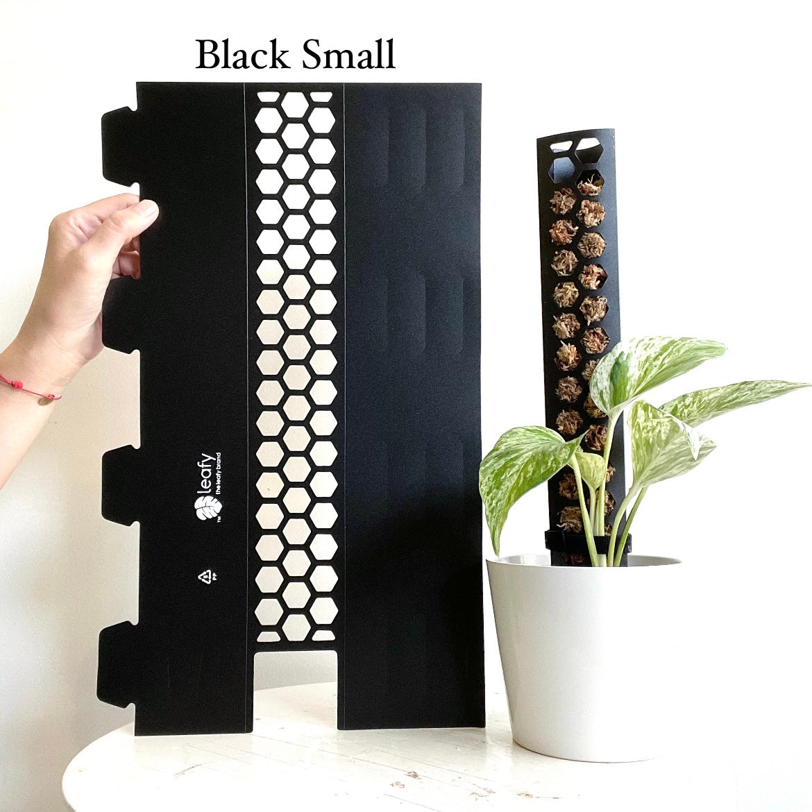 leafy モスポール ブラック スモールサイズ