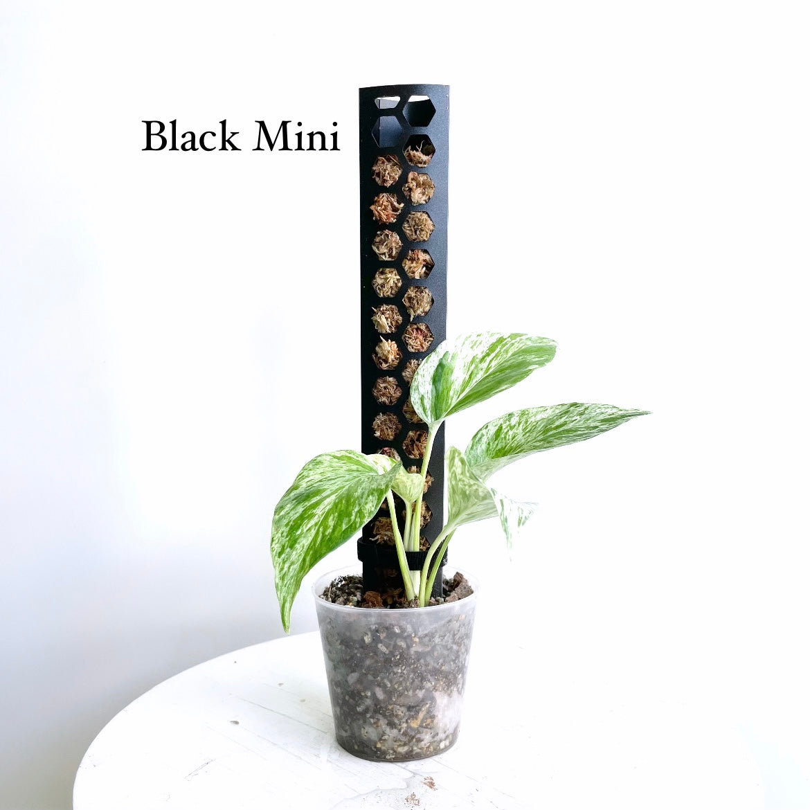 leafy モスポール ブラック ミニサイズ