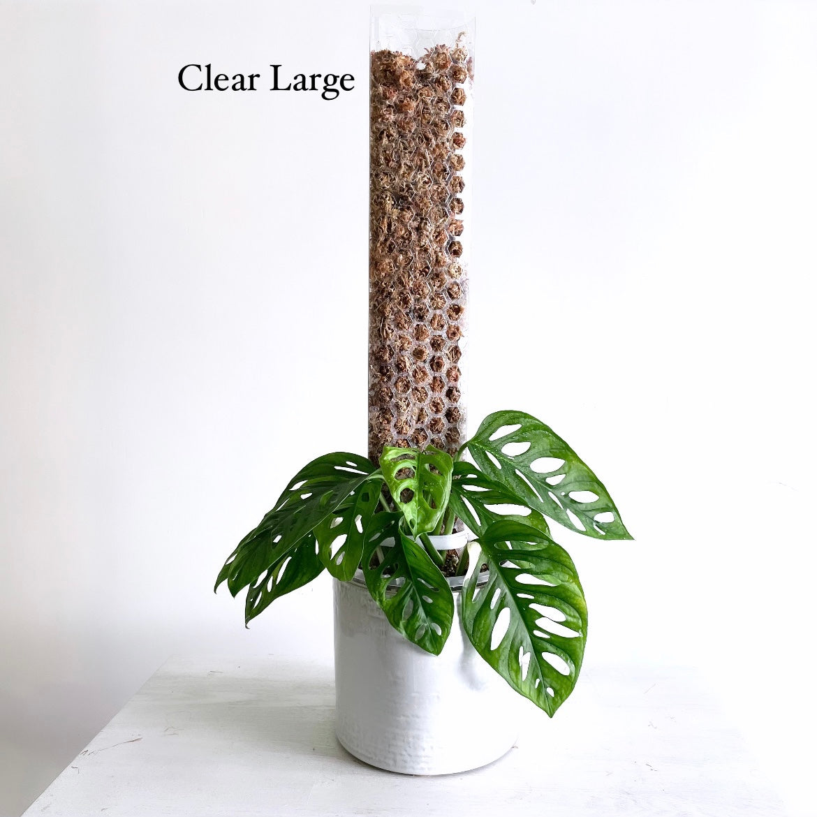 leafy モスポール クリア ラージサイズ