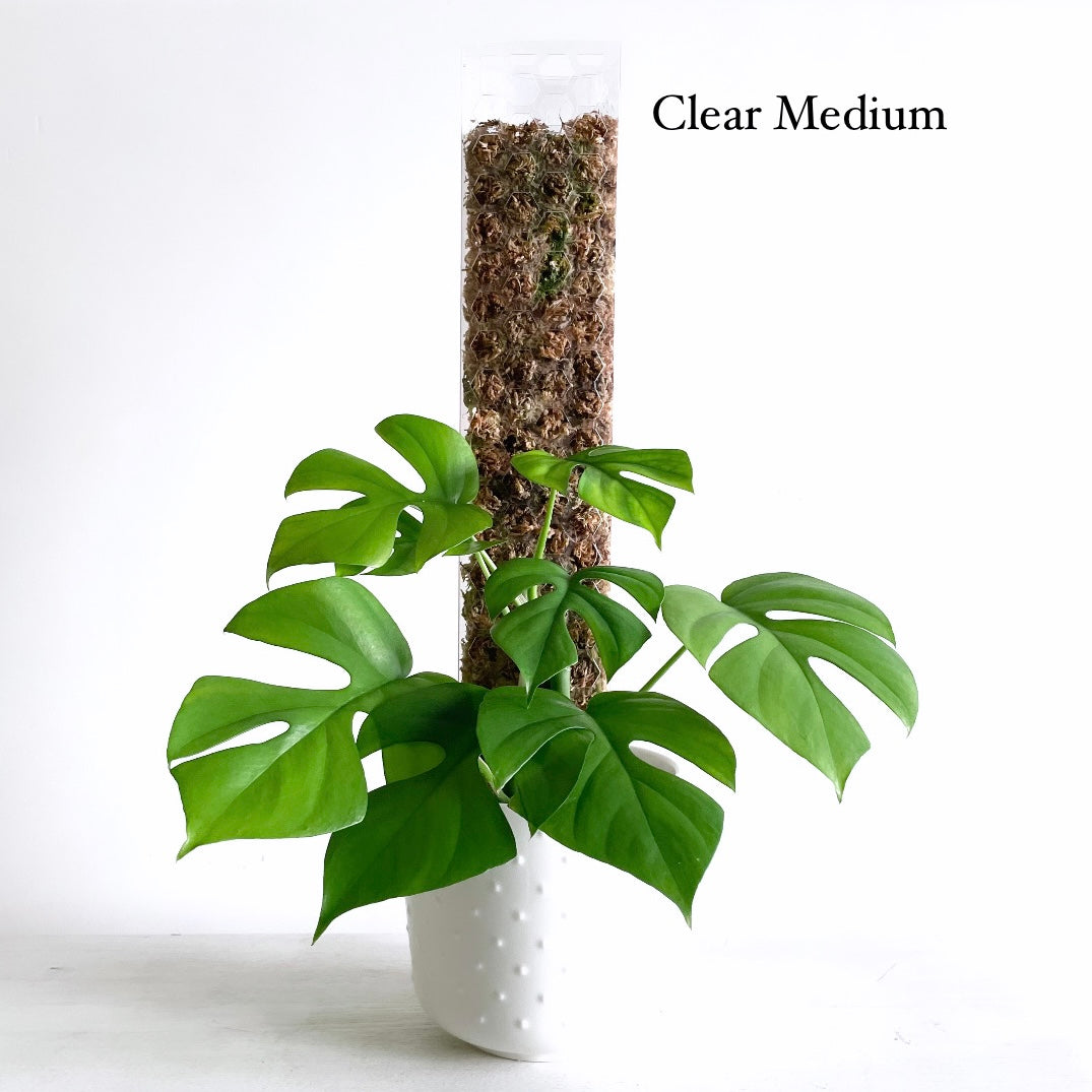 leafy モスポール クリア ミディアムサイズ