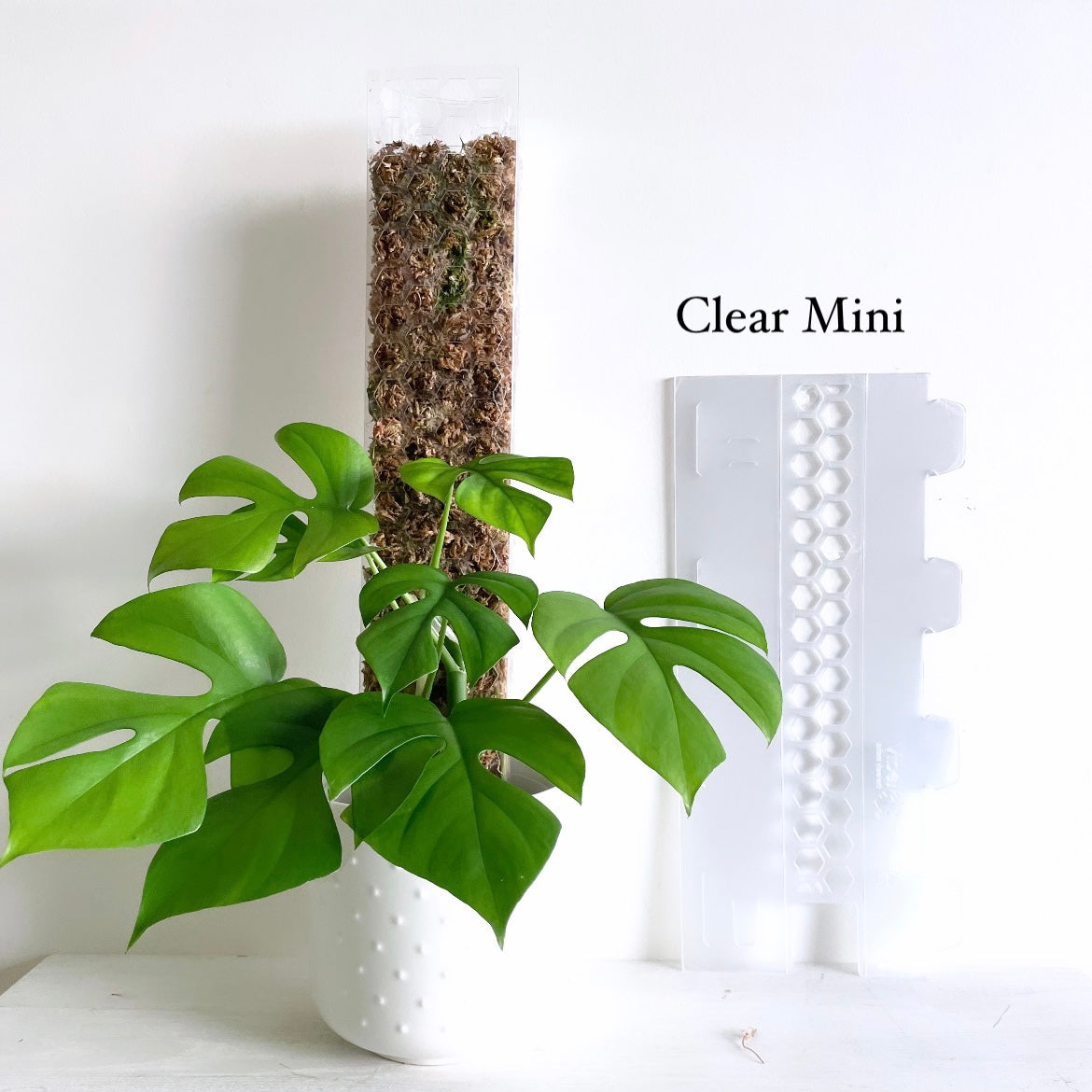 leafy モスポール クリア ミニサイズ