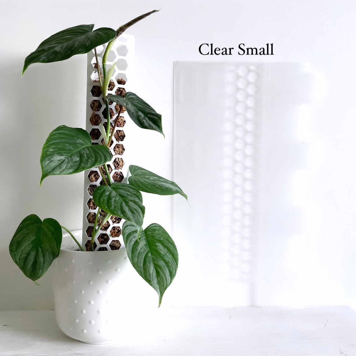 leafy モスポール クリア スモールサイズ