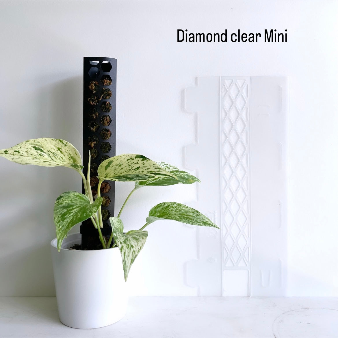 Leafy Leafy モスポール ダイヤモンド クリアMini