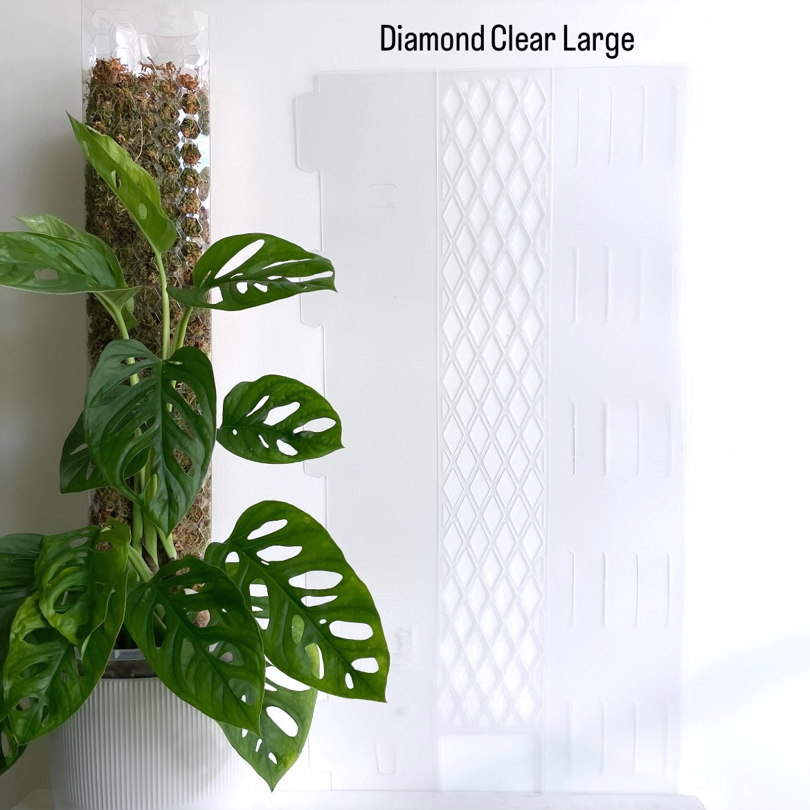 Leafy モスポール ダイヤモンド クリアLarge