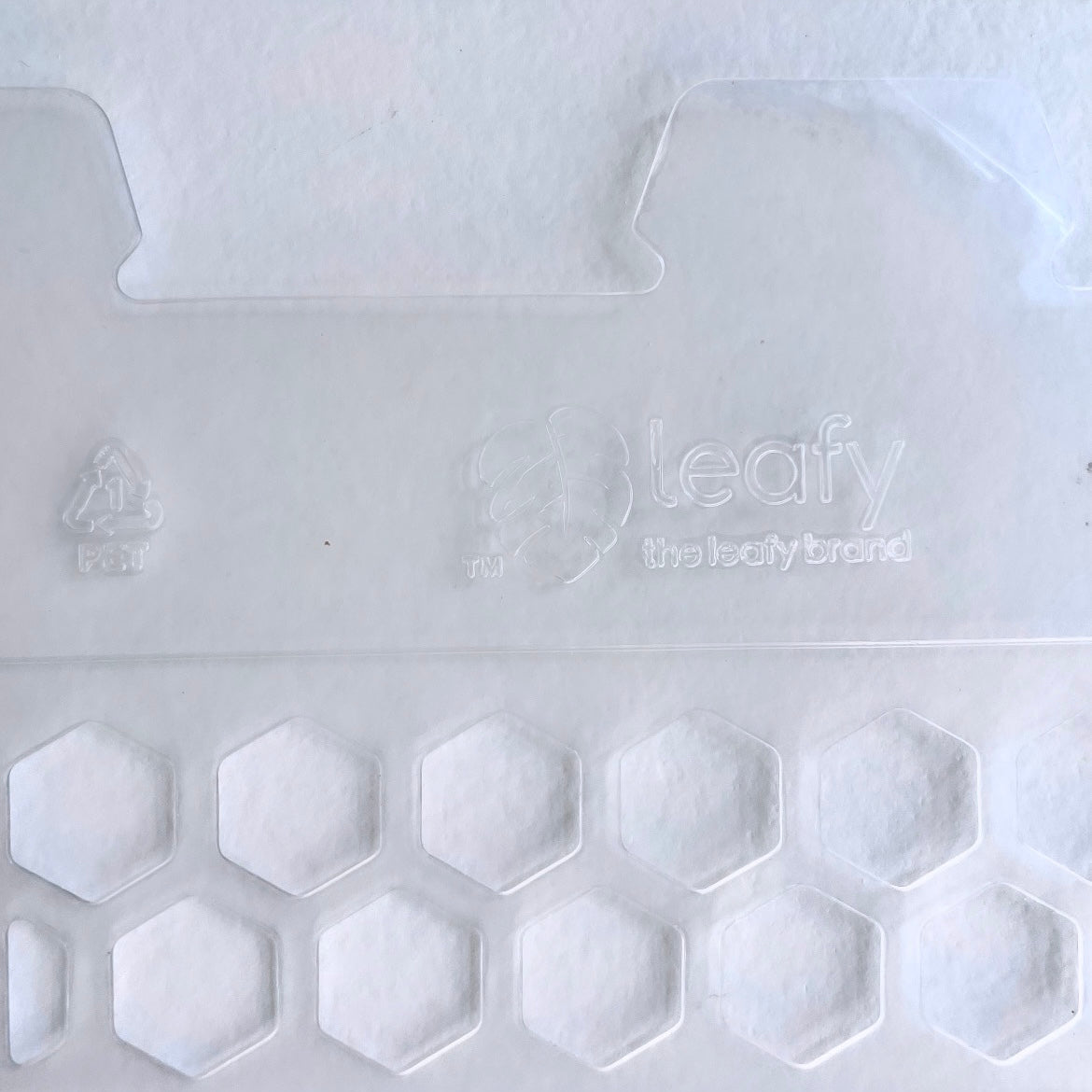 leafy モスポール クリア ロゴ