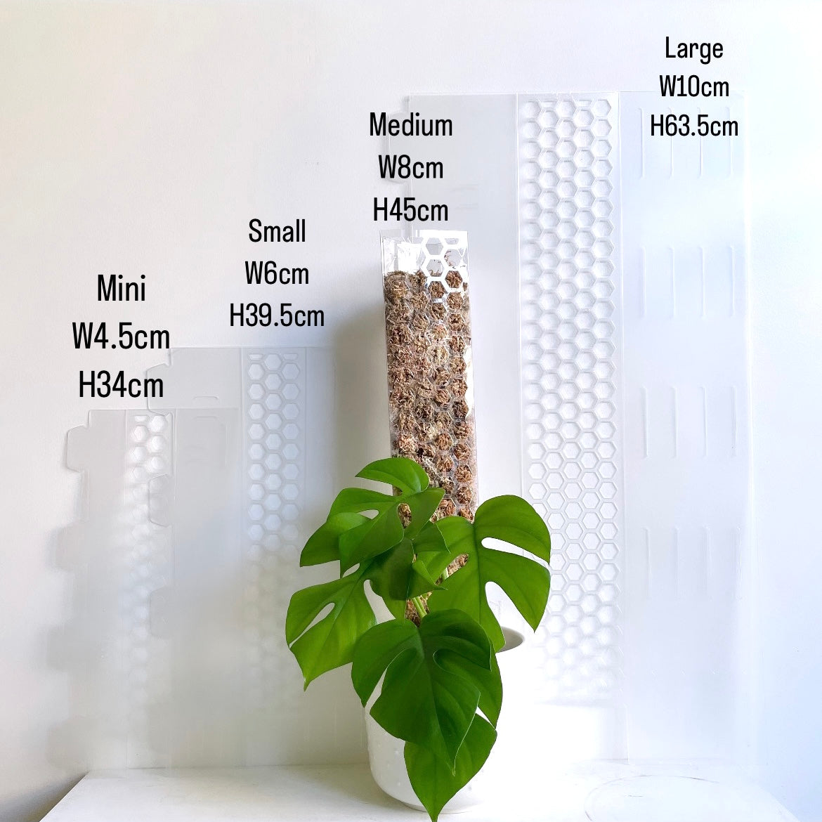 leafy モスポール クリア サイズ