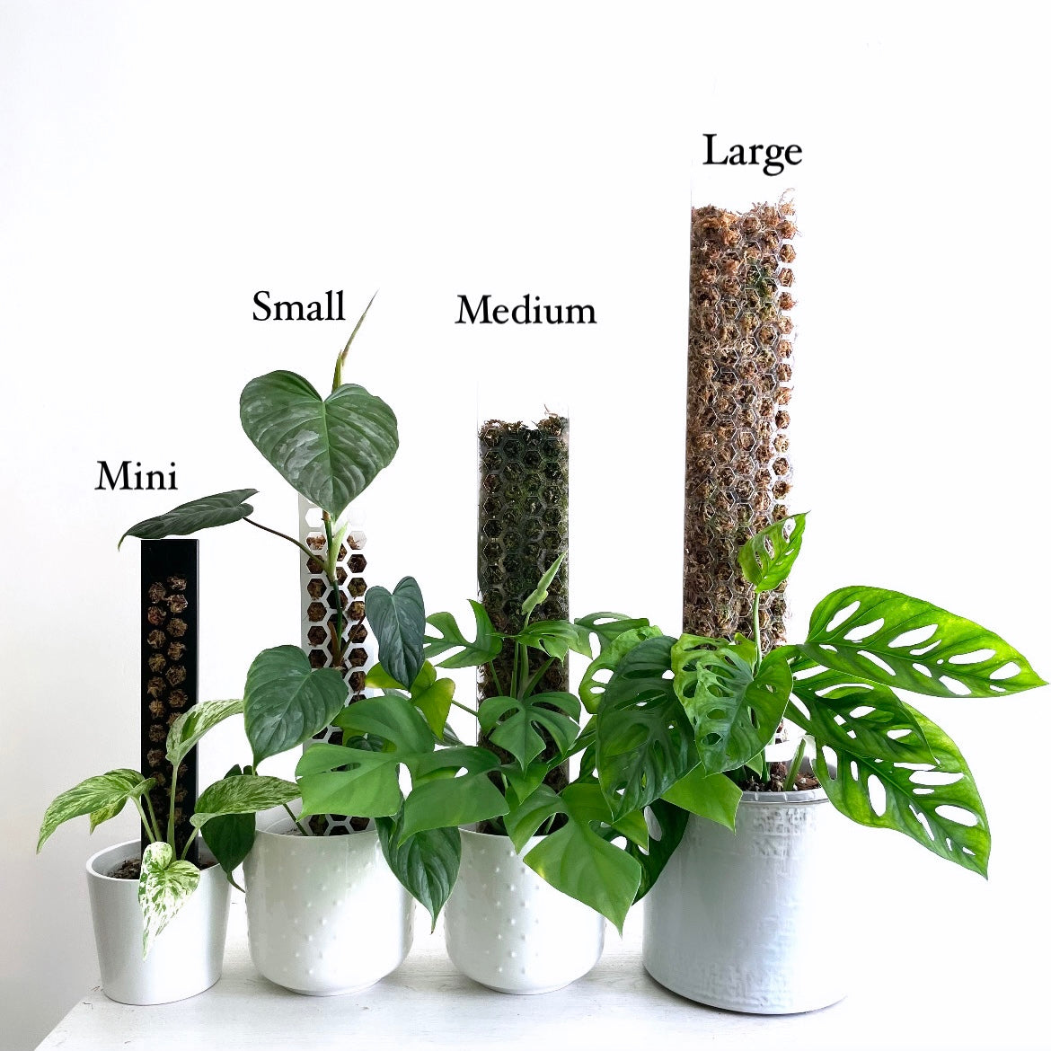 Leafy Moss Pole 2.0 Black