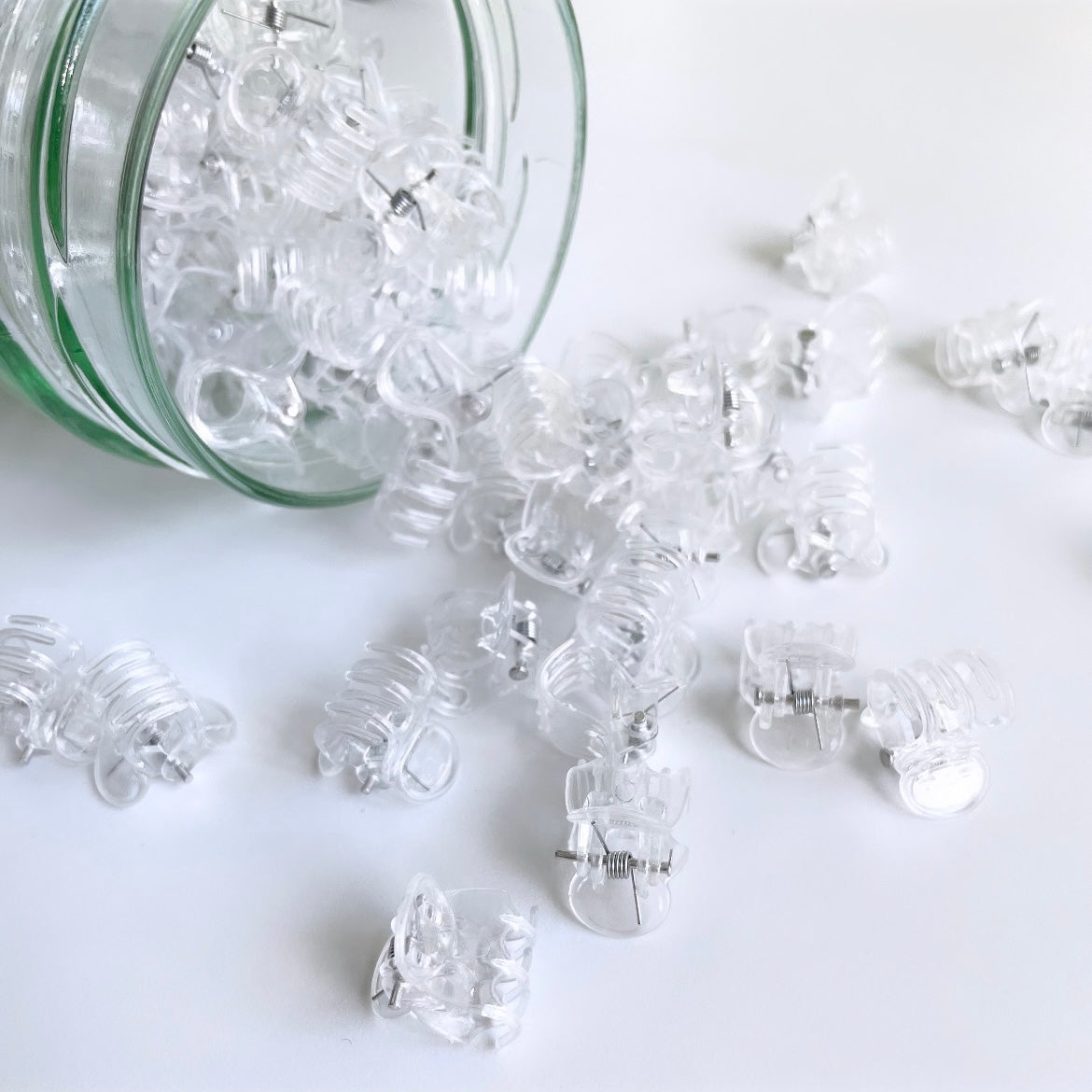 Leafy プラント クリップ クリア