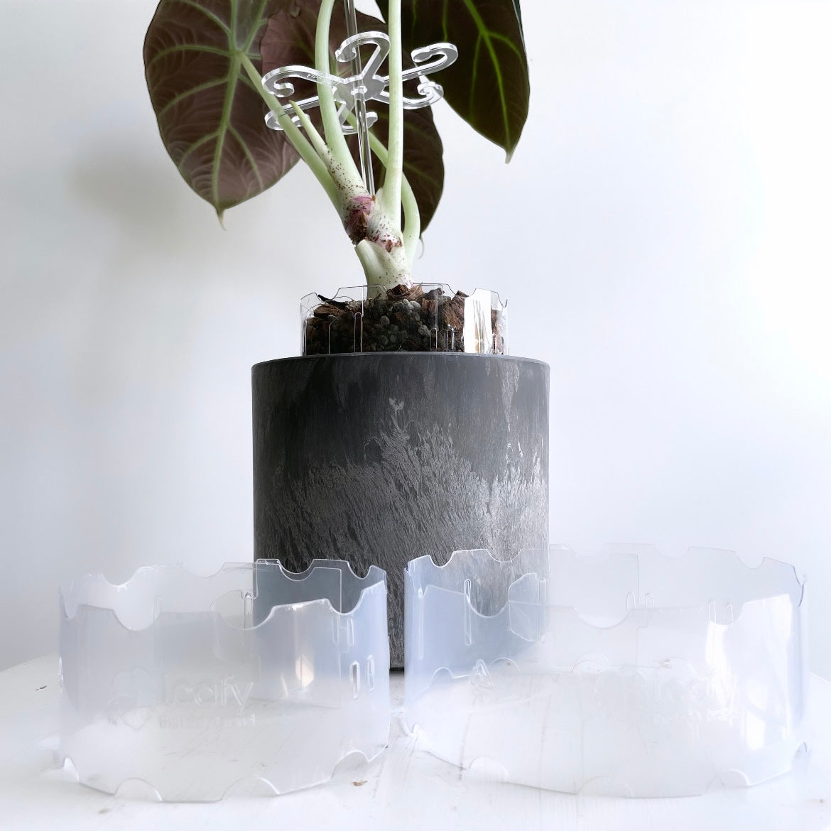 plant pot extender Leafy pot extender – Plants On White