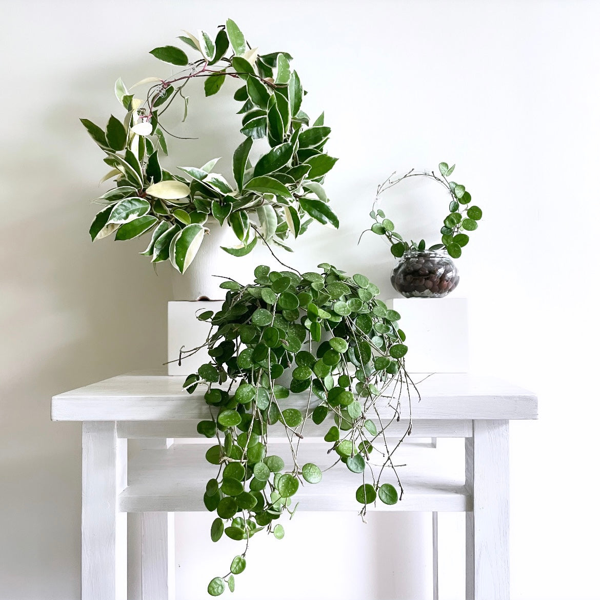 アクリルラウンドトレリス