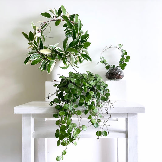 アクリルラウンドトレリス