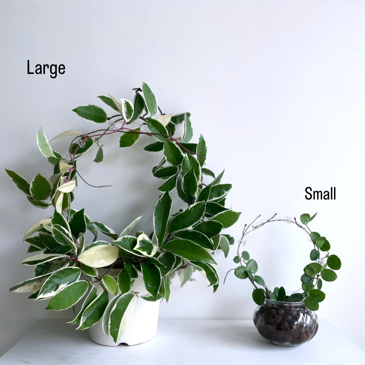 アクリルラウンドトレリス