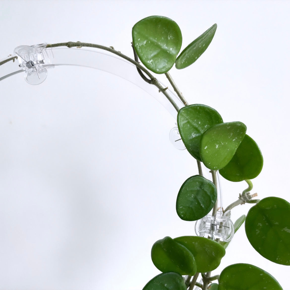 アクリルラウンドトレリスディテール