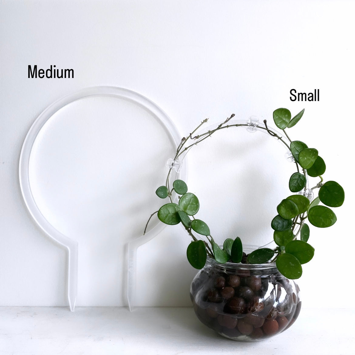 アクリルラウンドトレリスMedium