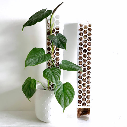 leafy モスポール ホワイト