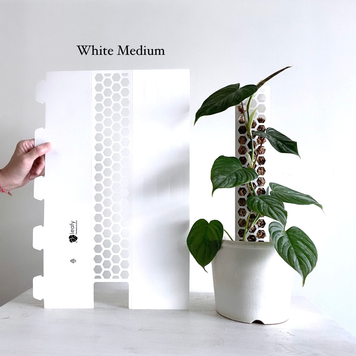 leafy モスポール ホワイト ミディアムサイズ