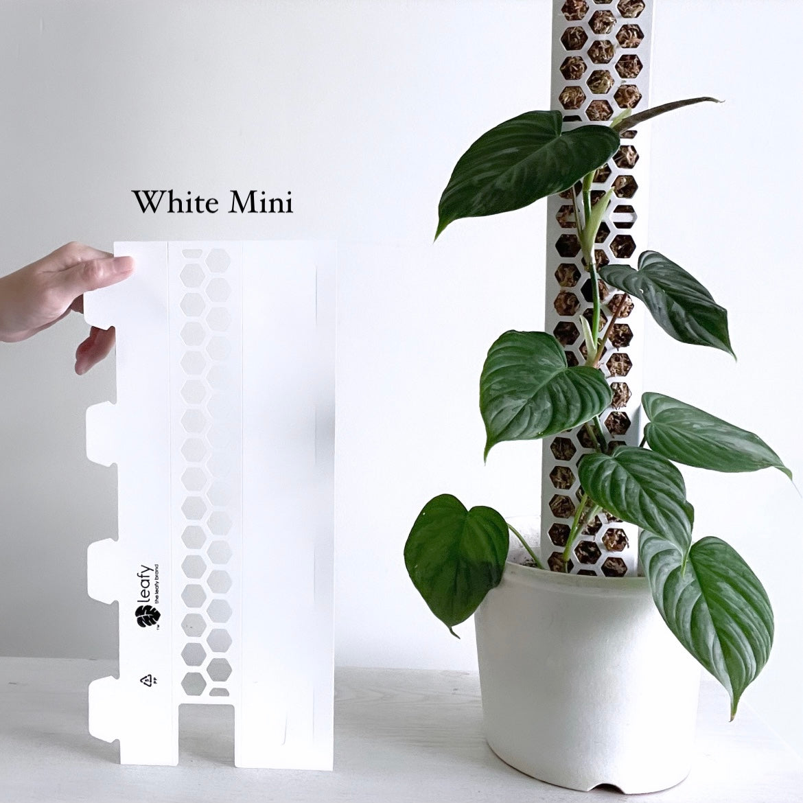 leafy モスポール ホワイト ミニサイズ