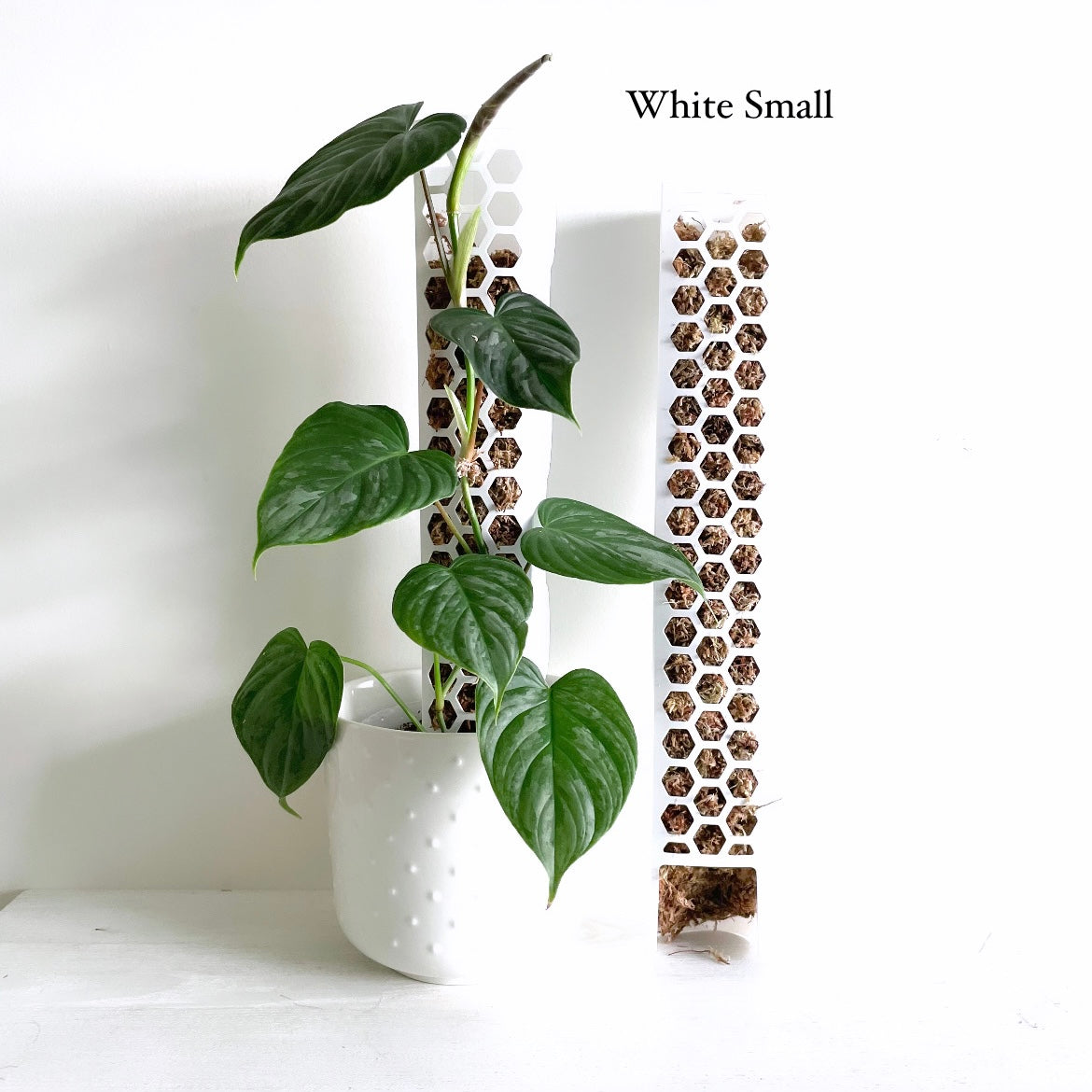 leafy モスポール ホワイト スモールサイズ